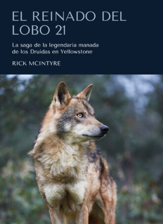 El Reinado del Lobo 21: La saga de la legendaria manada de los Druidas en Yellowstone